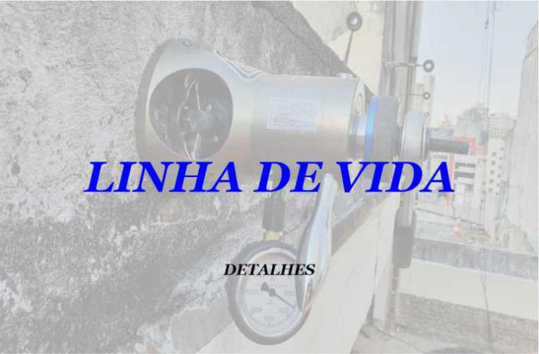 LINHA DE VIDA